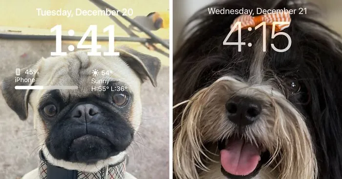 Hey Pandas, Post A Screenshot Of Your Lock Screen (Closed)