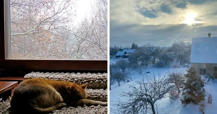 Hey Pandas, Share Your Best Photos Of Wintertime (Closed)