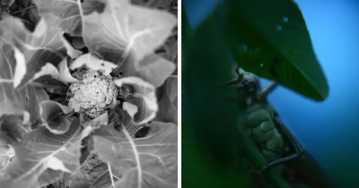 Photography For Your Coffee Break: 32 Photos That I Took