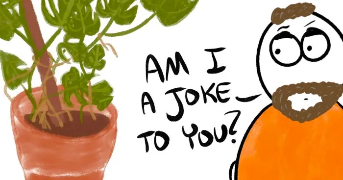 I Made 7 Comics About Living With Plants And I Wanted To Share Them With You