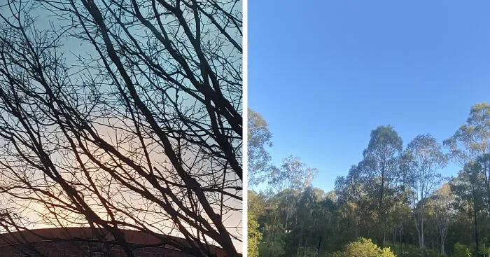 Hey Pandas, Show Us The Sky Of Where You Are Right Now (Closed)