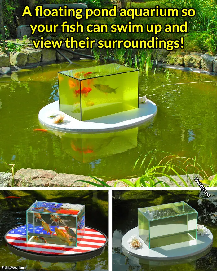 This Is So Cool!
