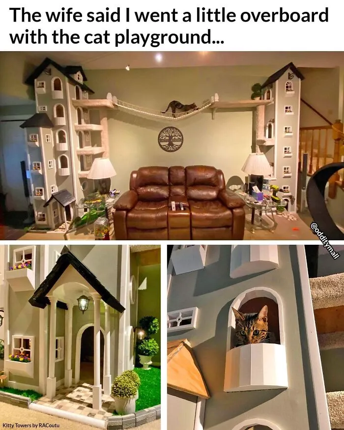 Brilliant!