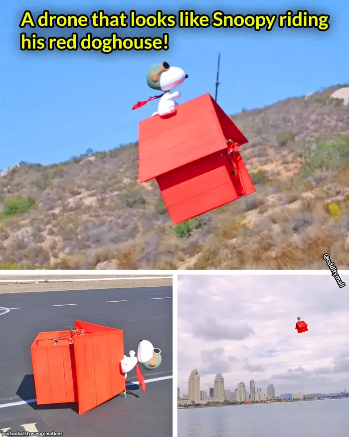 This Is Amazing!