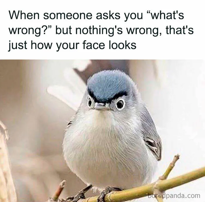 50 Memes That You Might Like If You Don’t Really Like People (New Pics)