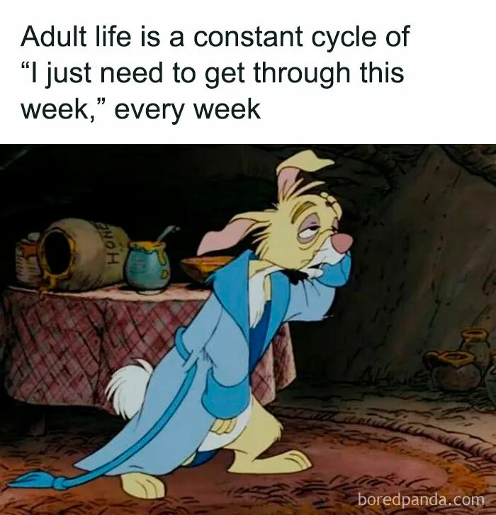 50 Memes That You Might Like If You Don’t Really Like People (New Pics)
