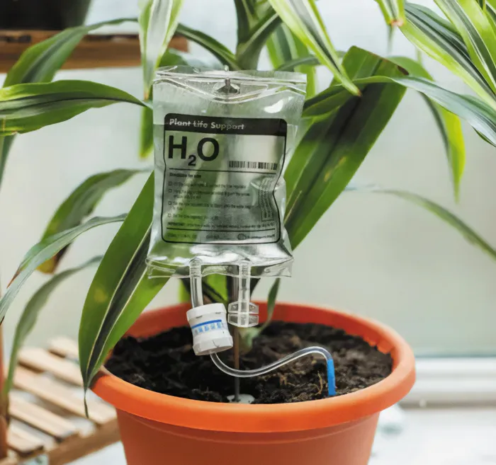 Plant Life Support