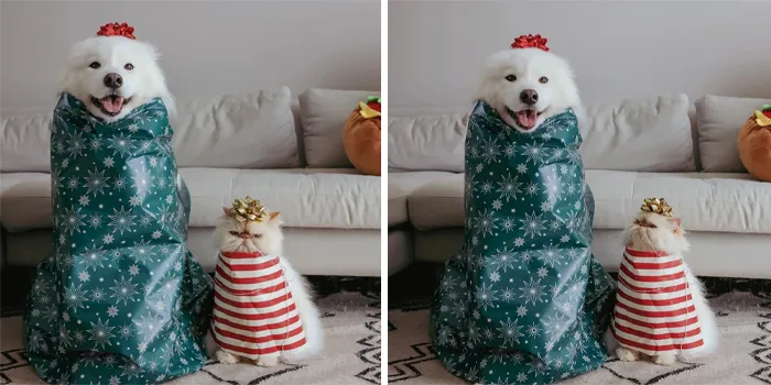 Our Christmas Presents This Year