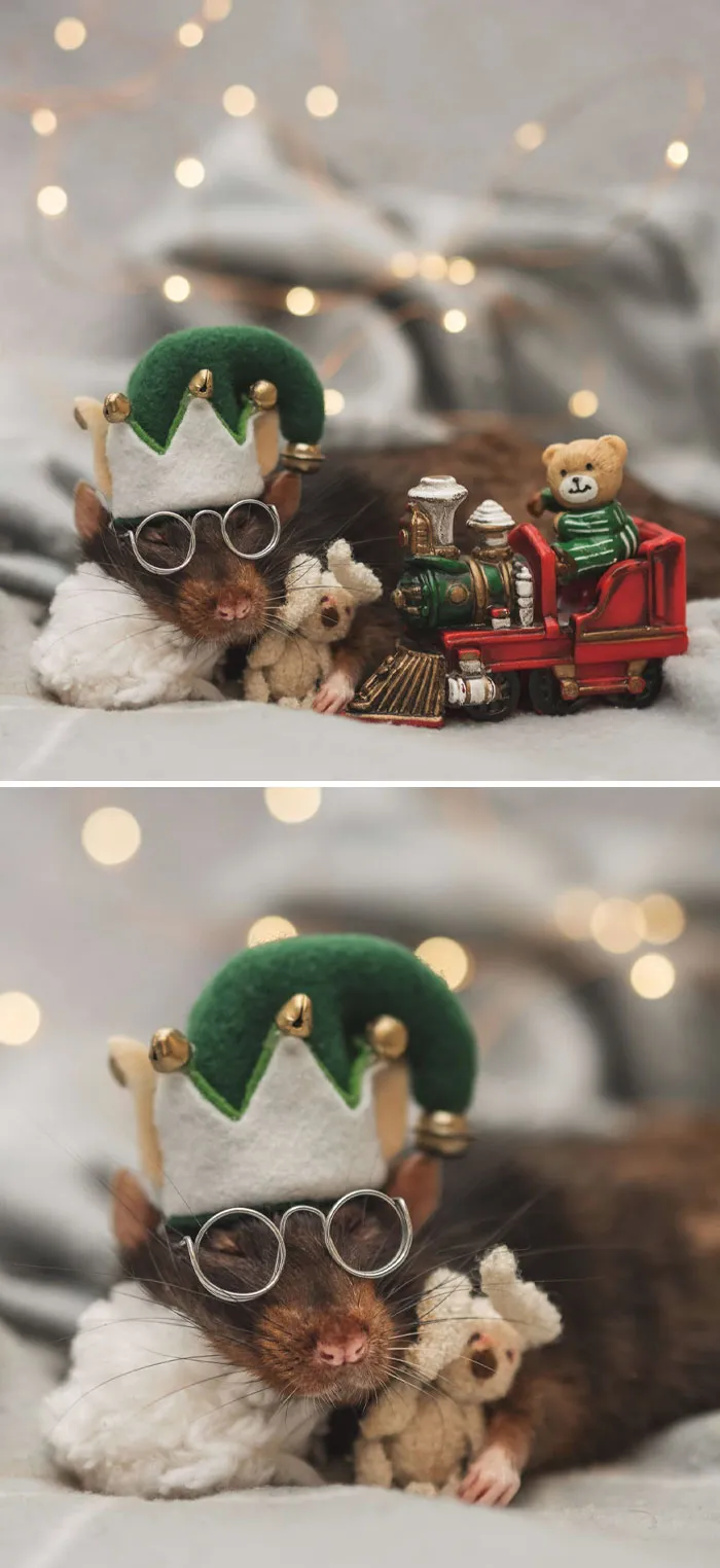 Treat Every Day Like Christmas