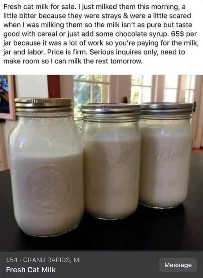 “That's It, I'm FB Marketplace Shaming”: 30 Funny, Weird, And Shady Things People Actually Tried To Sell Online (New Pics)
