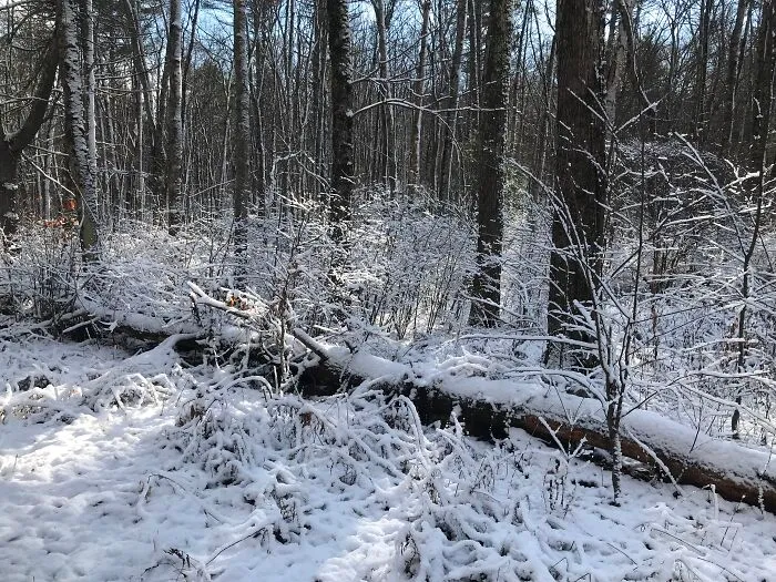 Late September In New Hampshire, United States