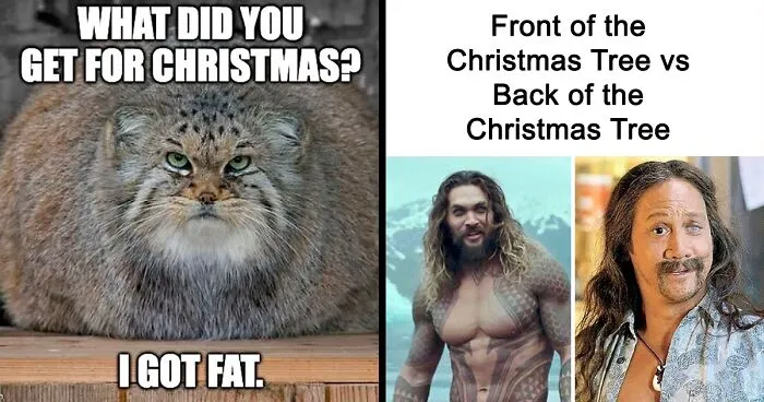 50 Ridiculously-Good Christmas Memes To Get You In A Great Festive Mood (New Pics)
