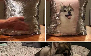 50 Christmas Gifts That Made People Laugh (New Pics)