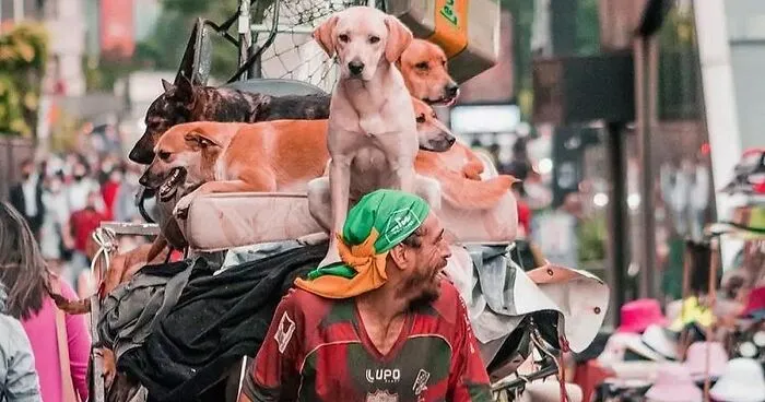 The Most Sincere Love Comes From Animals, And Here Are 60 Heartwarming Pictures Of Homeless People With Their Pets In Brazil (New Pics)