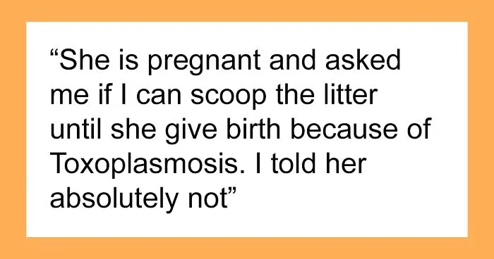 Guy Wonders If He's A Jerk For Refusing To Clean The Litter Box While His Wife Is Pregnant, The Internet Doesn't Hold Back