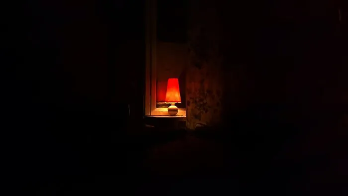 "Going Downstairs After Turning Off The Lights" And 30 Other Things That Our Community Is Afraid Of Doing Alone