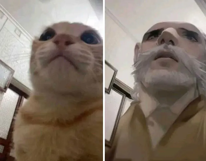 25 Confusiones de la IA al recibir fotos de la gente, con divertidos resultados