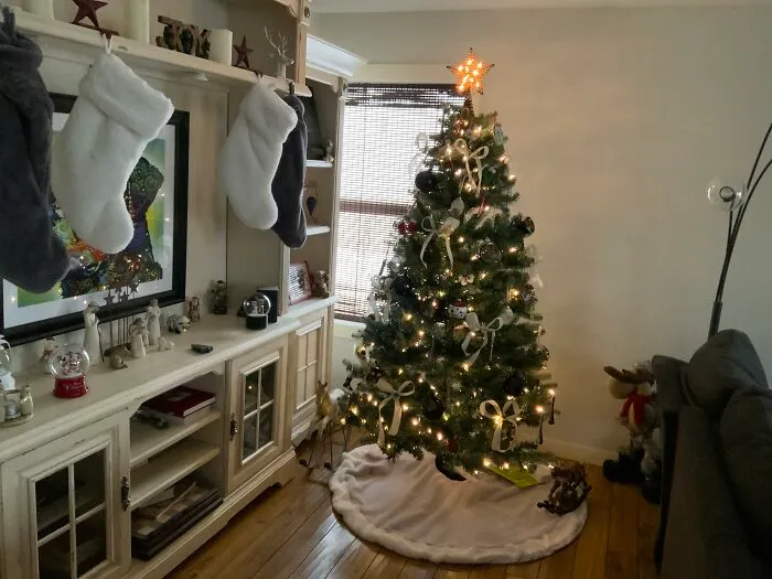 My Tree This Year