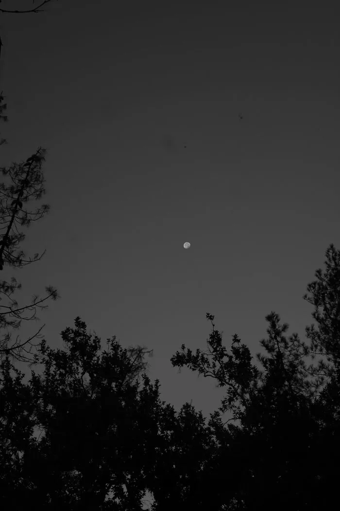 Hello Moon