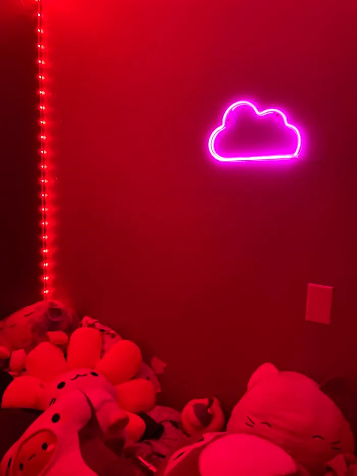 LED Lights And A Neon Cloud Sign!! Plus Some Super Cute Plushies!