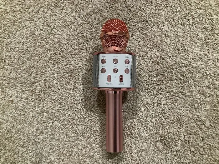 I Got This Because I Love To Sing