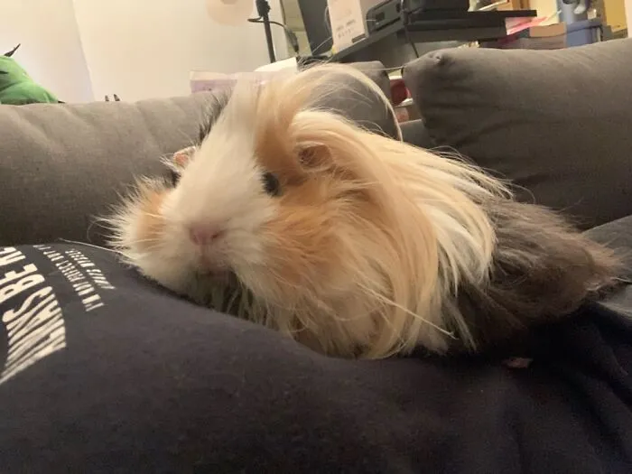 This Is Susi :)