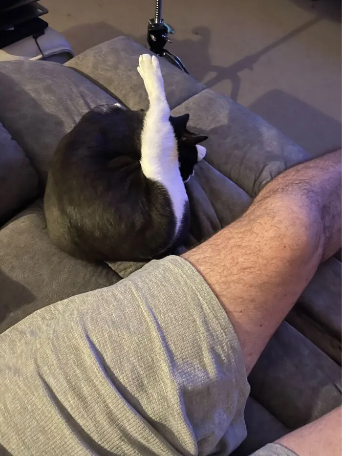 Nope Not Grooming Herself, Just An Amazing Ability To Sleep However, Wherever Whenever!