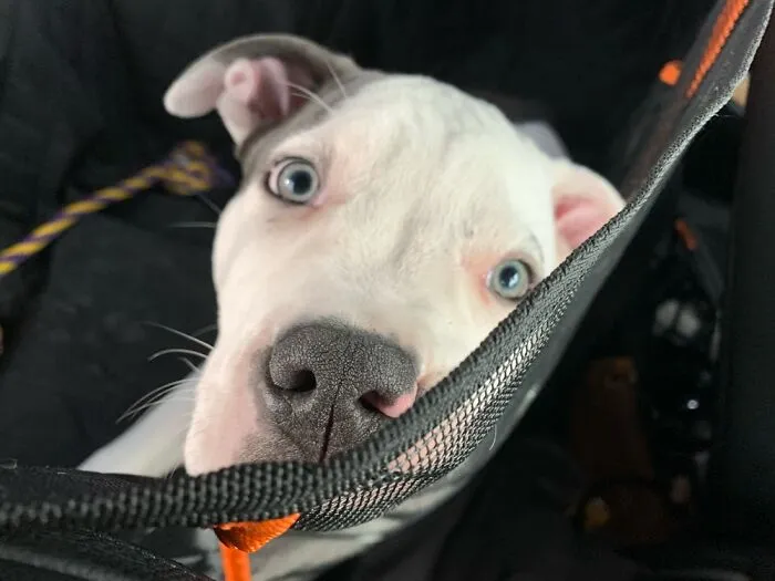 After A Beach Walk