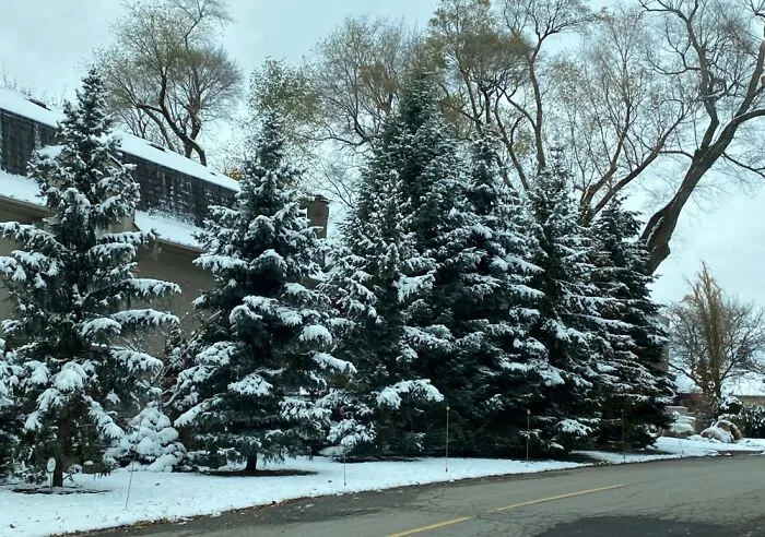 Photo From My Car. Toronto, Canada