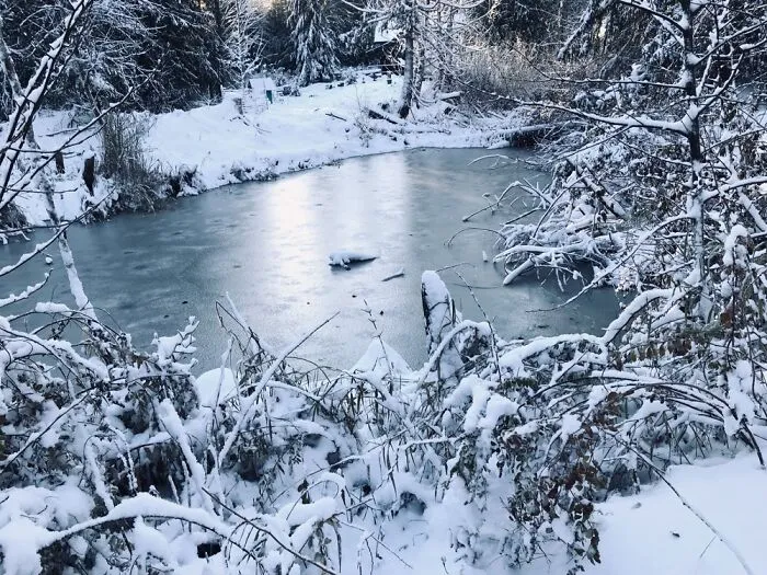 Our Trout Pond