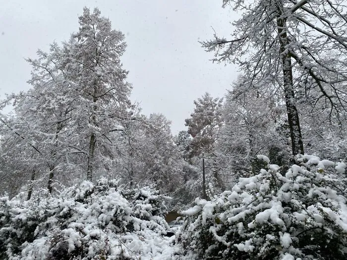 Winter In Eastern Germany