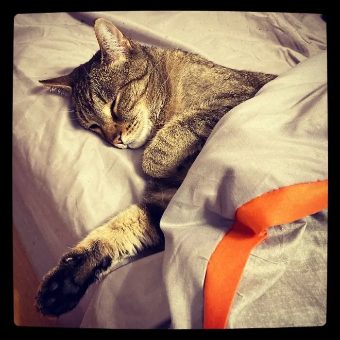 Beauty Sleep