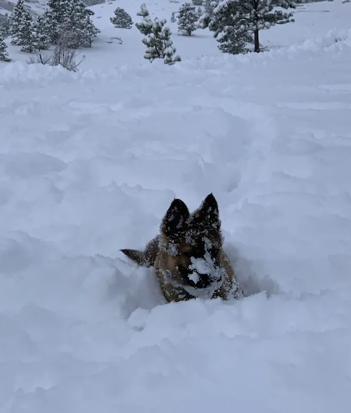 More Snow Please
