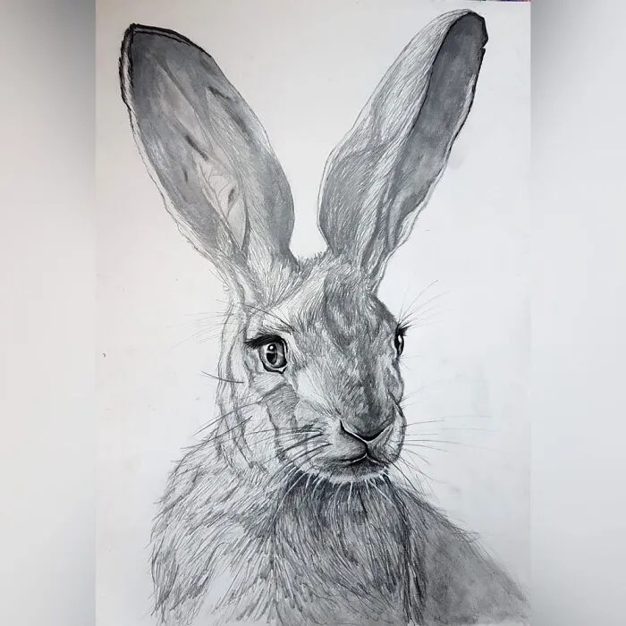Pencil And Ink
