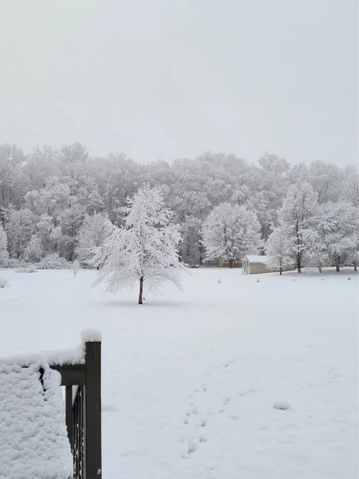 I Love Seeing This Every Year! Indiana
