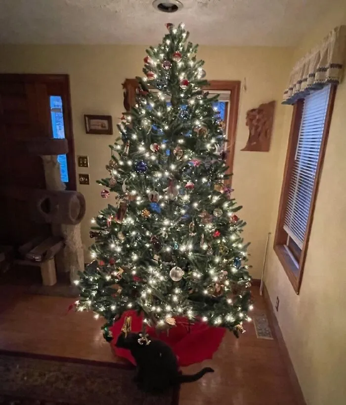 Our 1st Xmas Together Was 1981