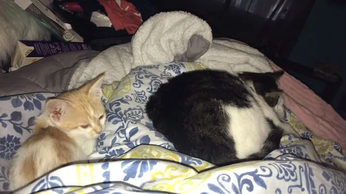 Nap Time