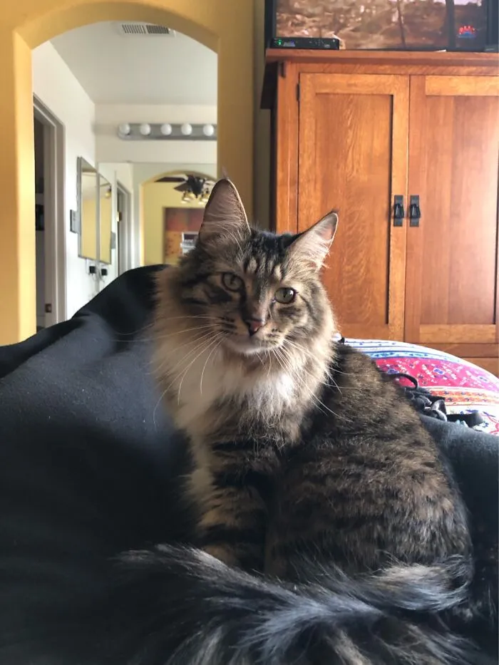 This Is Potter
