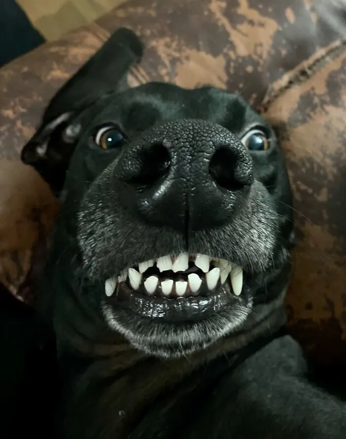 Onyx