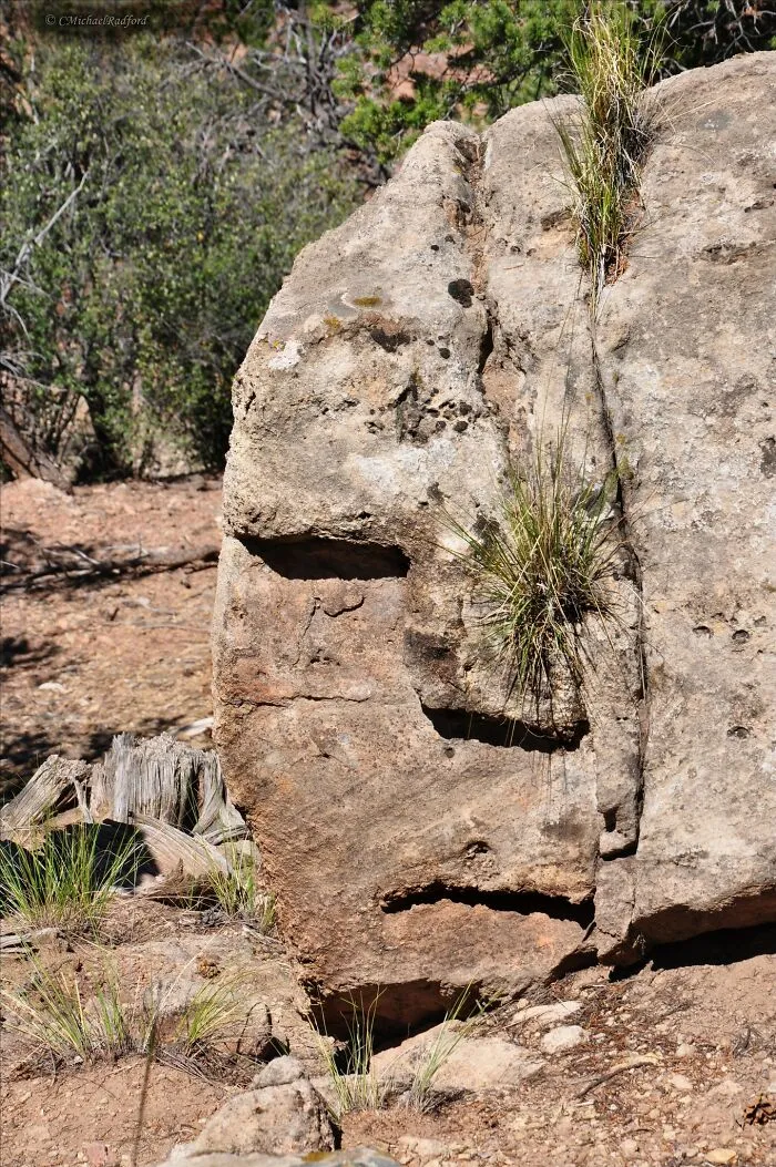 30 Times People Spotted A Face In An Everyday Thing And Just Had To Share It In This Online Group
