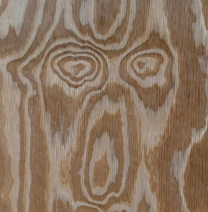 30 Times People Spotted A Face In An Everyday Thing And Just Had To Share It In This Online Group