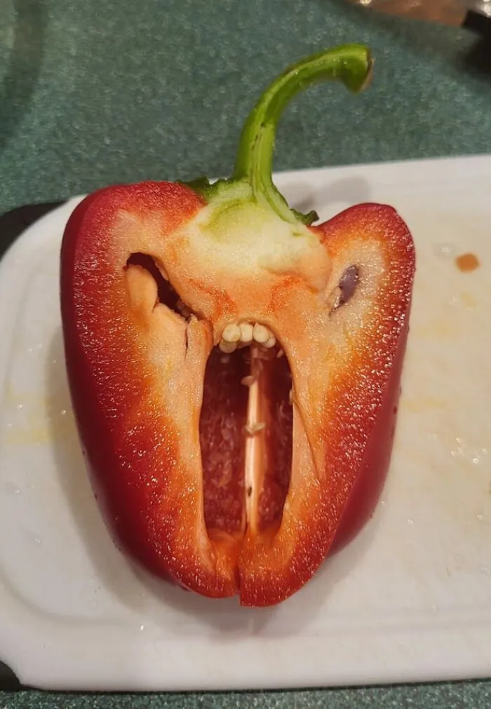 30 Times People Spotted A Face In An Everyday Thing And Just Had To Share It In This Online Group