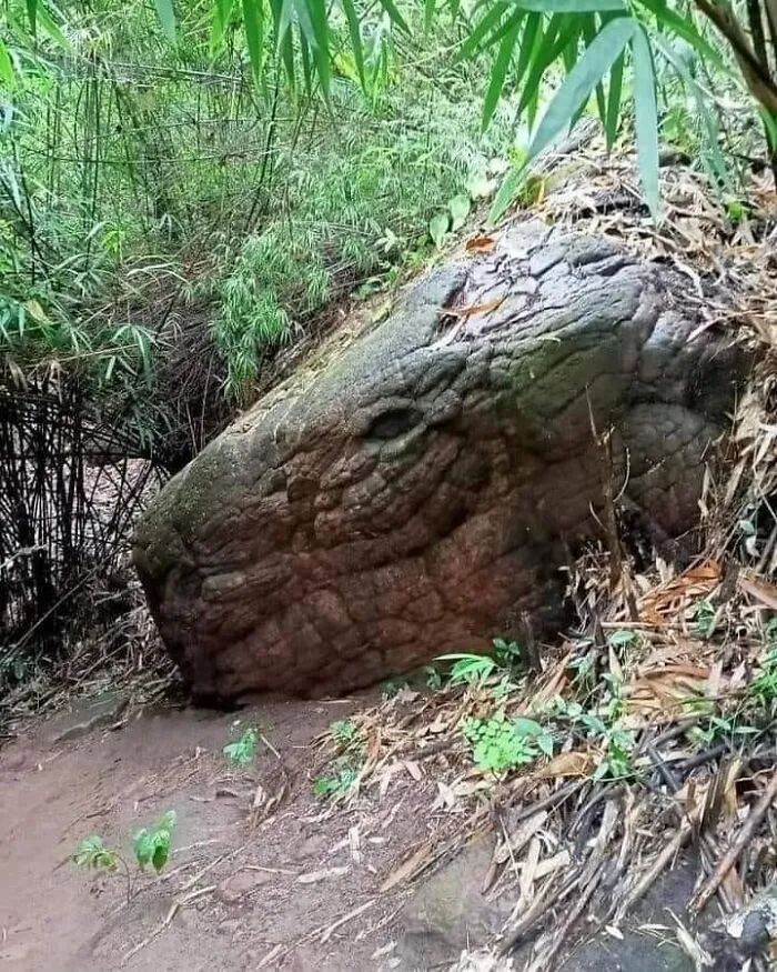 30 Times People Spotted A Face In An Everyday Thing And Just Had To Share It In This Online Group