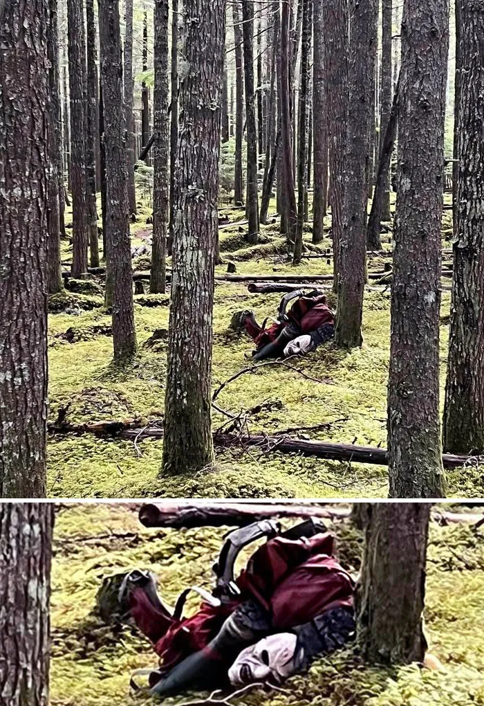 An Ordinary Photo Of Some Lost Items In The Woods