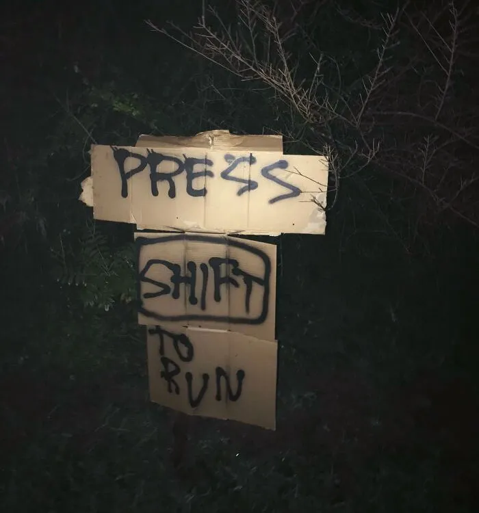 In The Woods