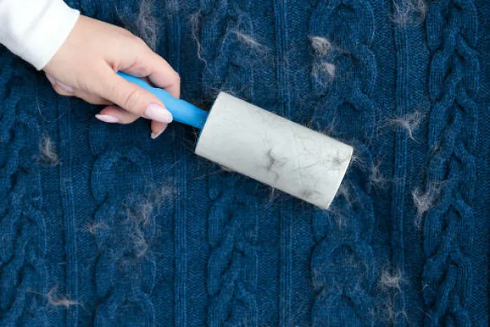 A Lint Roller