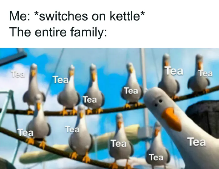 “Meanwhile In Ireland”: 50 Reasons Why Ireland Is A World Apart From Any Other Country