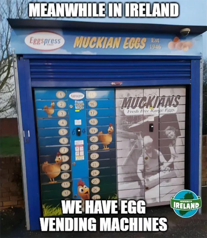 “Meanwhile In Ireland”: 50 Reasons Why Ireland Is A World Apart From Any Other Country