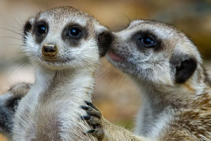"What's Something You Wish Someone Had Told You When You Were Younger?": 40 Useful Tips Shared By The Bored Panda Community
