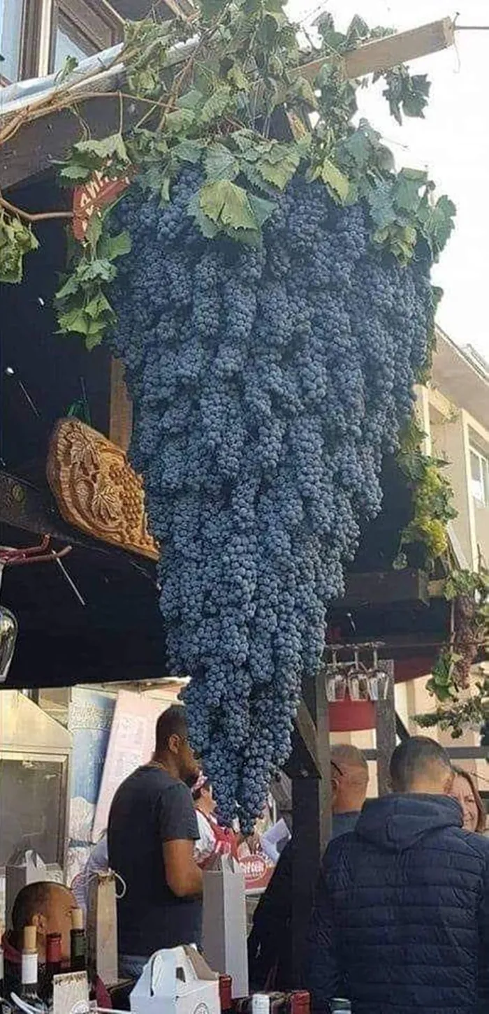 A Grape Cluster Formed By Grape Clusters. This Cluster Is Called The Caleb Cluster
